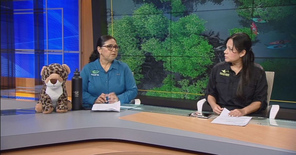 Organizaciones ambientales alertan por congelamiento de cuentas tras oponerse a proyecto puerto Barú – Nacionales Organizaciones ambientales alertan por congelamiento de cuentas tras oponerse a proyecto puerto Barú - Nacionales