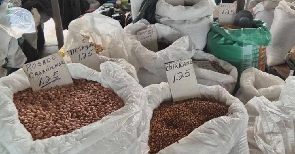 Productores preocupados por falta de definición en la compra del frijol chiricano ¿Qué está pasando? - Provincias