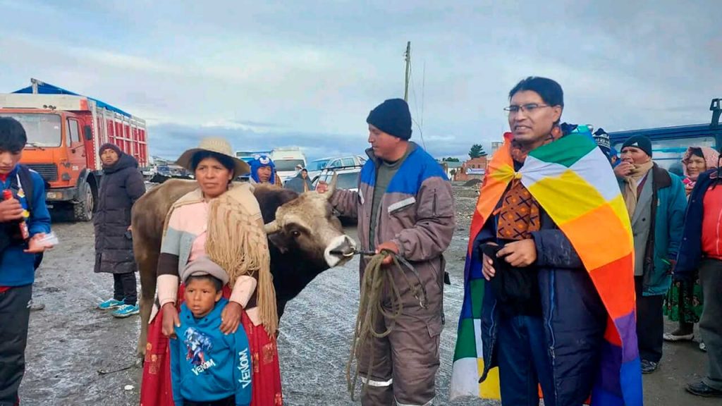 Senador Condori vende su toro para promover el referendo que busca rebajar sueldos a legisladores