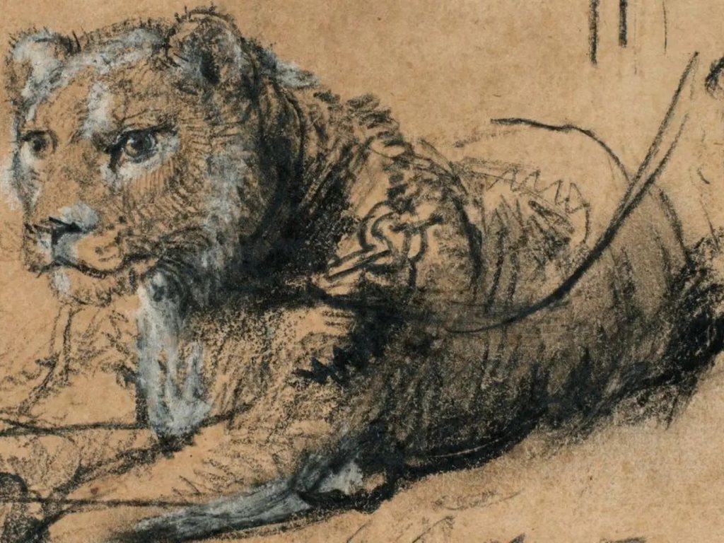 Sotheby's vendió un dibujo único de Rembrandt y donará lo recaudado a la conservación de leones