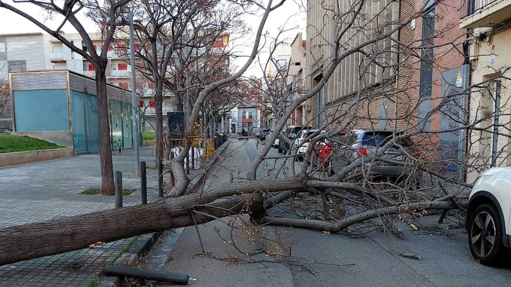 Temporal de viento en Cataluña: un herido grave por la caída de un árbol, decenas de vuelos cancelados en el aeropuerto de El Prat y cortes en Rodalies por rachas de más de 100 km/h Temporal de viento en Cataluña: un herido grave por la caída de un árbol, decenas de vuelos cancelados en el aeropuerto de El Prat y cortes en Rodalies por rachas de más de 100 km/h