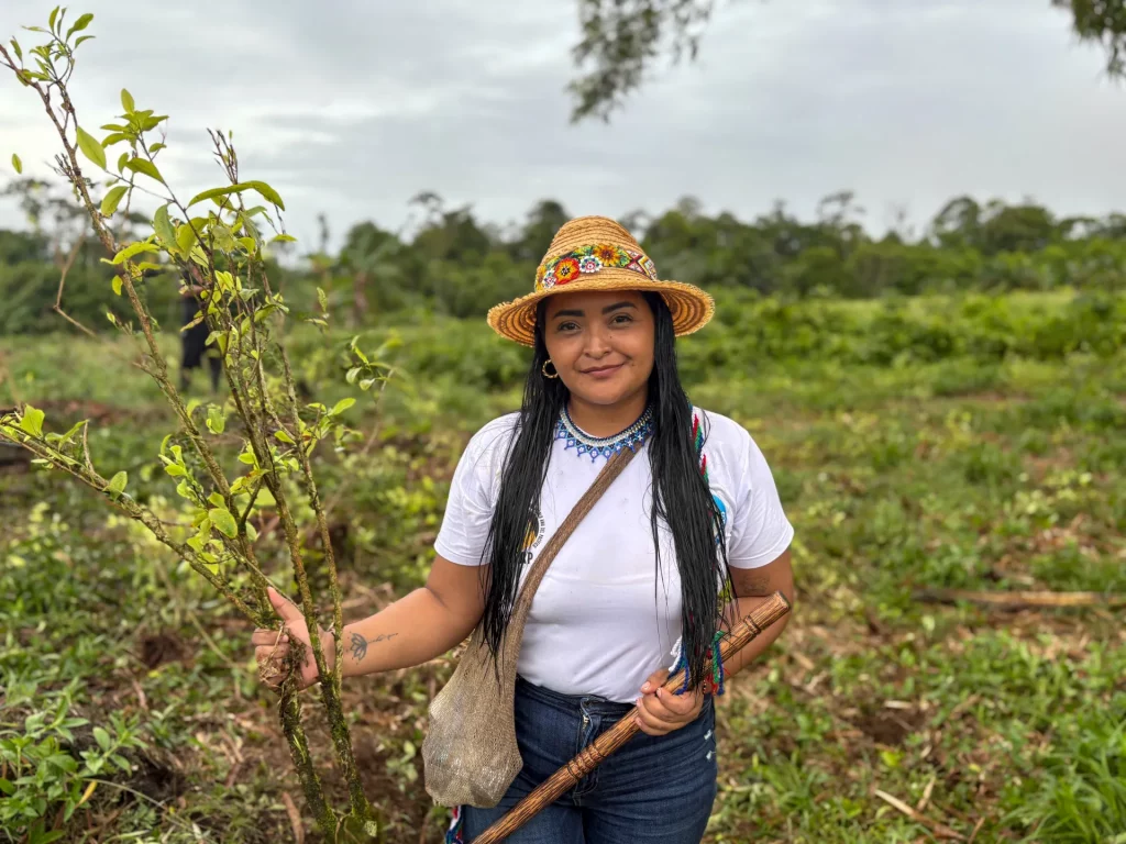 Trump y Petro chocan sobre la mejor manera de erradicar los cultivos de cocaína en Colombia | Noticias de Donald Trump