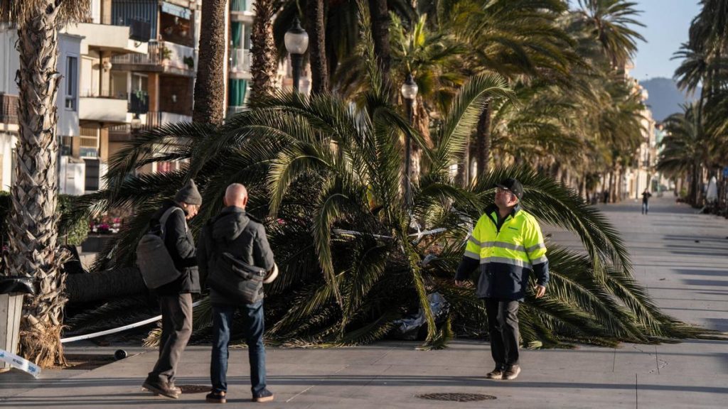 el temporal de viento paraliza la cultura el temporal de viento paraliza la cultura