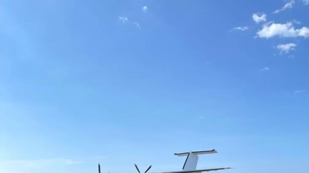 estas son las tres etapas estas son las tres etapas