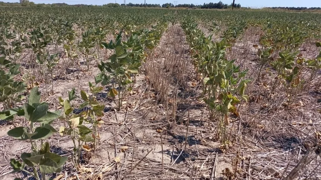 hubo 66% menos de lluvias y la zona cruzando el enero más adverso en los últimos años