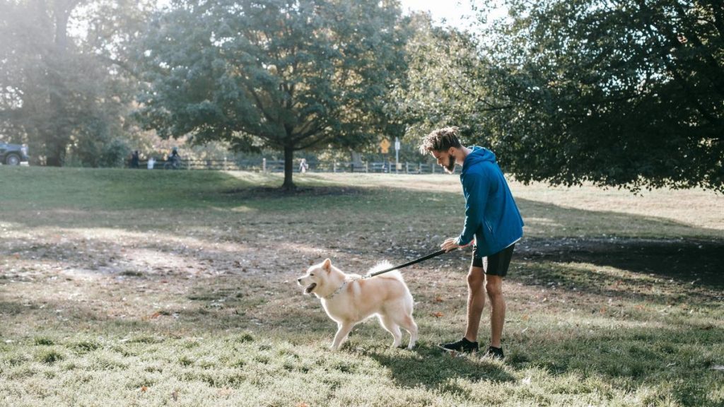 multará hasta con 300 € a todos los dueños de perros que no lleven una botella de agua multará hasta con 300 € a todos los dueños de perros que no lleven una botella de agua