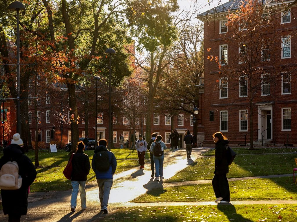 por qué Harvard advierte que cuanto más se usa, más cansancio mental genera por qué Harvard advierte que cuanto más se usa, más cansancio mental genera