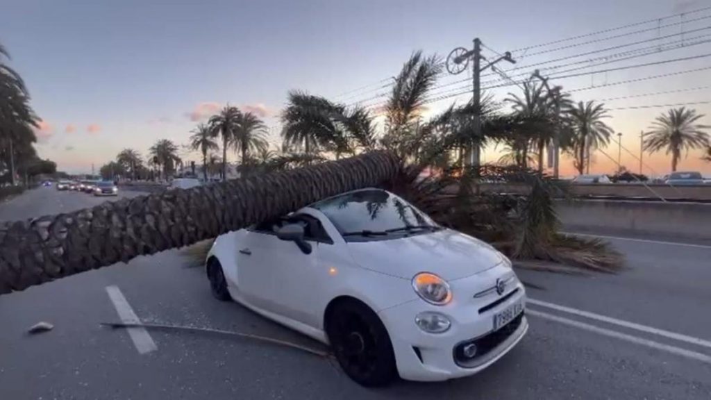 qué daños por viento cubre tu seguro y cuál tendrás que pagar tú